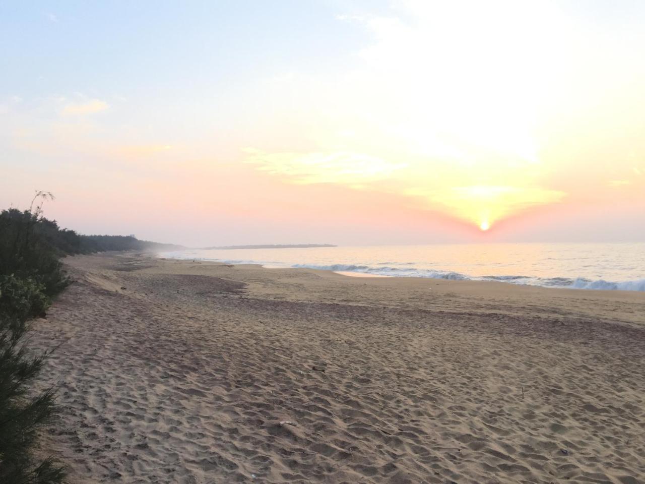 The Oasis Beach Resort Хамбантота Екстериор снимка
